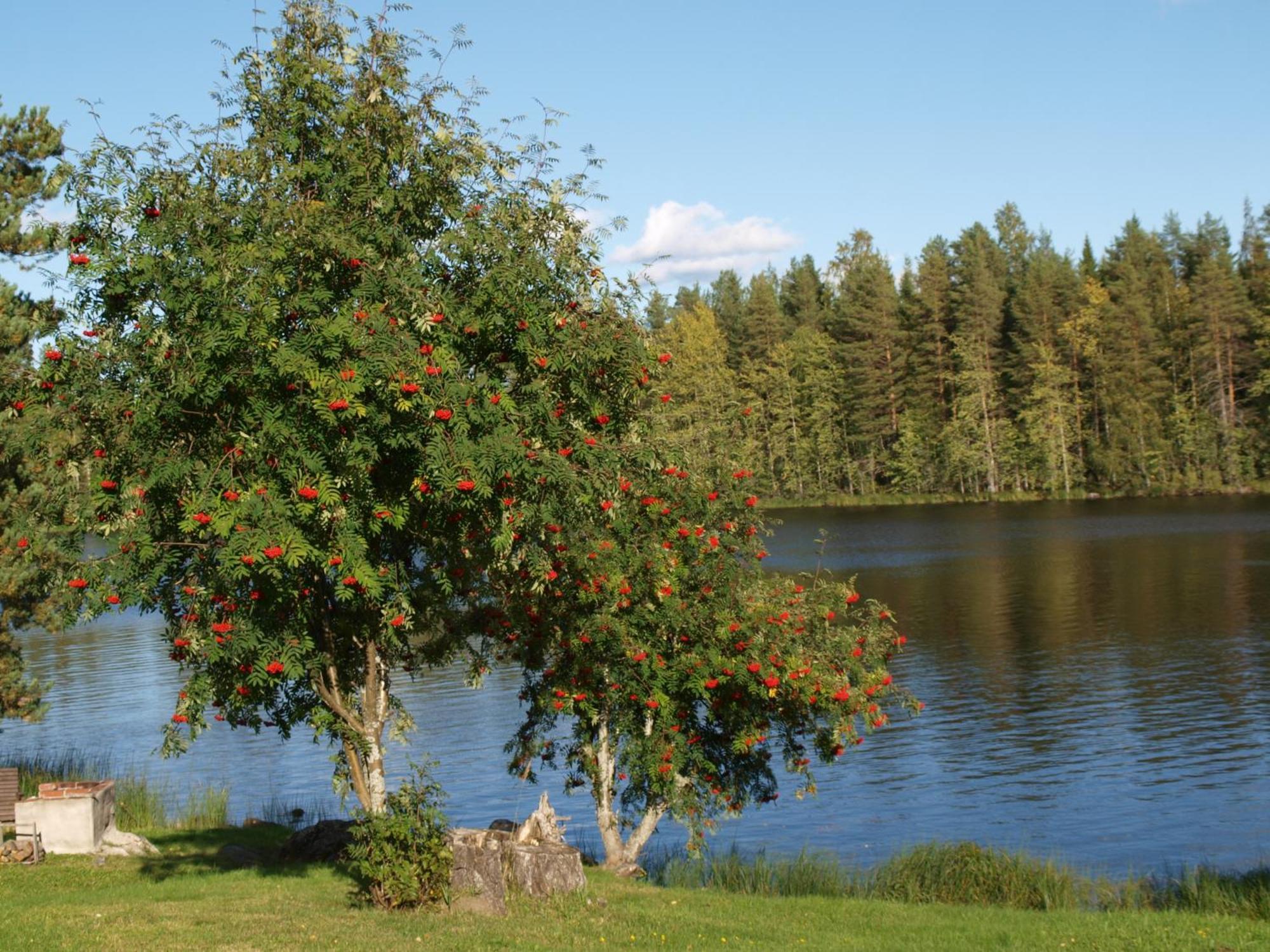 Loma-Rantala Cottages Тахко Екстер'єр фото
